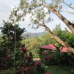 Photo taken by John N