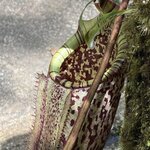 Photo taken by Edit M