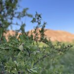 Photo taken by Jay H