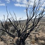 Photo taken by Michael L