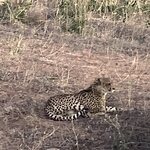 Photo taken by rhonda c