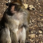 Photo taken by Patty N