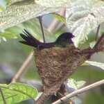 Photo taken by Mary D