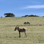 Photo taken by Virginia H