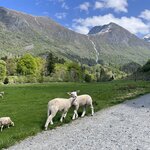 Photo taken by Brian C