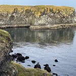 Photo taken by Tim Z