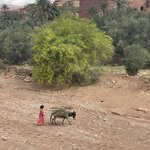 Photo taken by Monika S