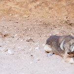 Photo taken by Beata p