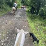 Photo taken by Kozue N