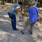 Photo taken by Gaia B