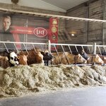 Photo taken by Amy C