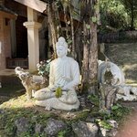 Photo taken by Paulette D