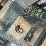 Photo taken by Tracie D