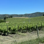 Photo taken by Donna R