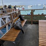 Photo taken by Mark A