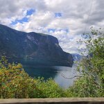 Photo taken by Tamara N