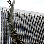 Photo taken by Linda M