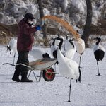 Photo taken by Iain M