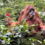 Photo taken by Judith D