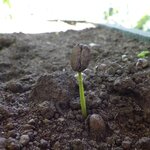 Photo taken by Steven P