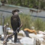 Photo taken by Graham D