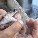 Photo taken by Susan & Bob M