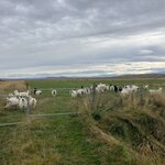 Photo taken by Isabel H