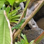 Photo taken by Jennifer G