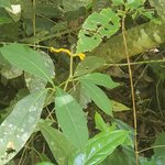 Photo taken by Tracye P