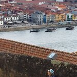 Photo taken by Mollie D