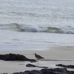 Photo taken by Jayme B