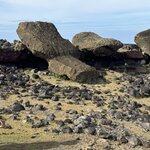 Photo taken by Courtney W