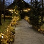 Photo taken by Meg K