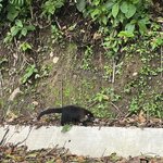 Photo taken by Chris G