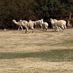 Photo taken by Kimberly A