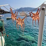 Photo taken by Ellen B