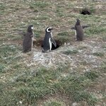 Photo taken by Rob G