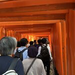 Photo taken by Adrian D