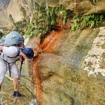 fresh springs everywhere in the wadi | Photo taken by fern k