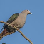 Photo taken by Graham D