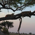 Photo taken by John B