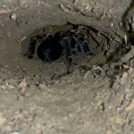 Photo taken by Jaya C