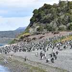 Photo taken by Raj M