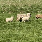 Photo taken by Christy L