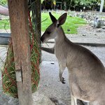 Photo taken by Katie E