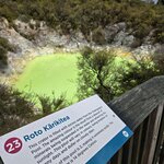 Photo taken by Thao T