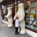 Photo taken by Amanda D