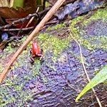 Photo taken by KLAUS A