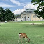 Photo taken by Deborah C