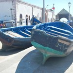 null | Photo taken by Wayne P